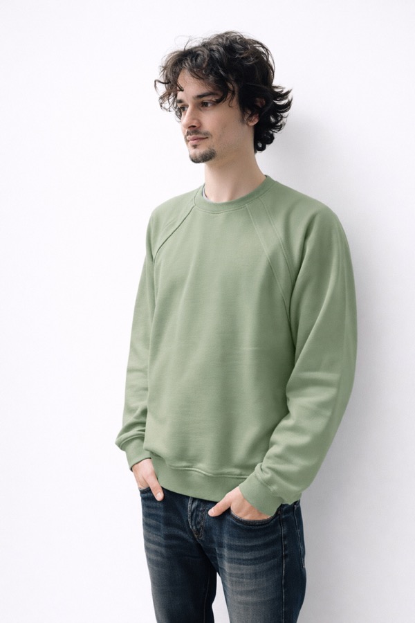 Sweatshirt Moed Edelweiss porté par un homme - vert sauge